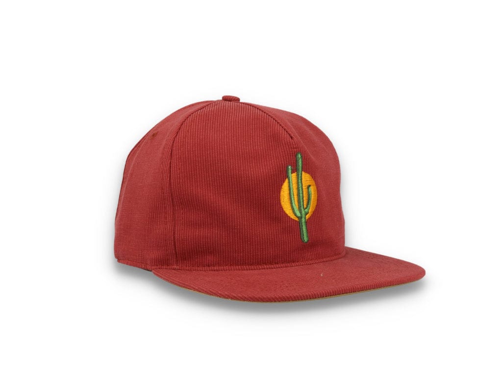 Sunset Cactus Brick - LOKK