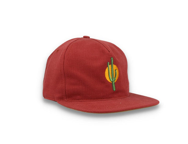 Sunset Cactus Brick - LOKK