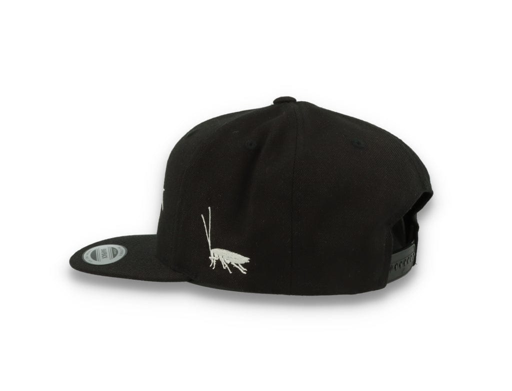 Skinny E Snapback - LOKK