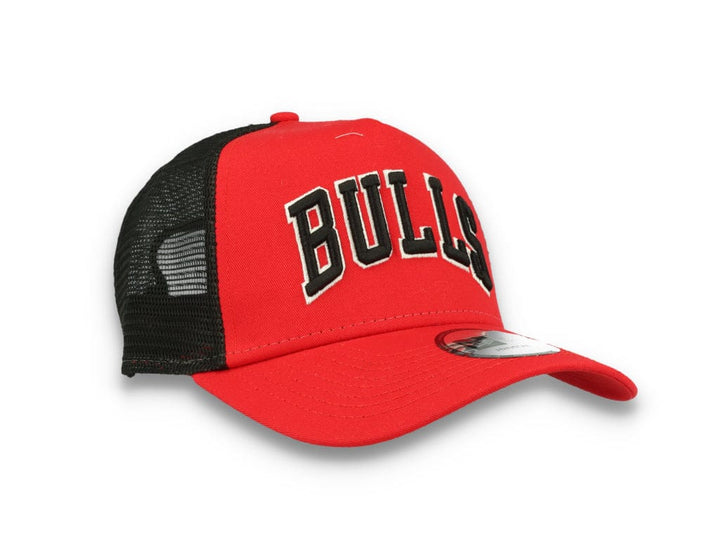 Team Script Trucker Chicago Bulls - LOKK