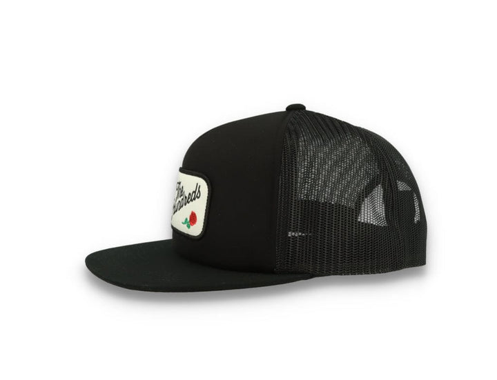 Team 2 Snapback Black - LOKK