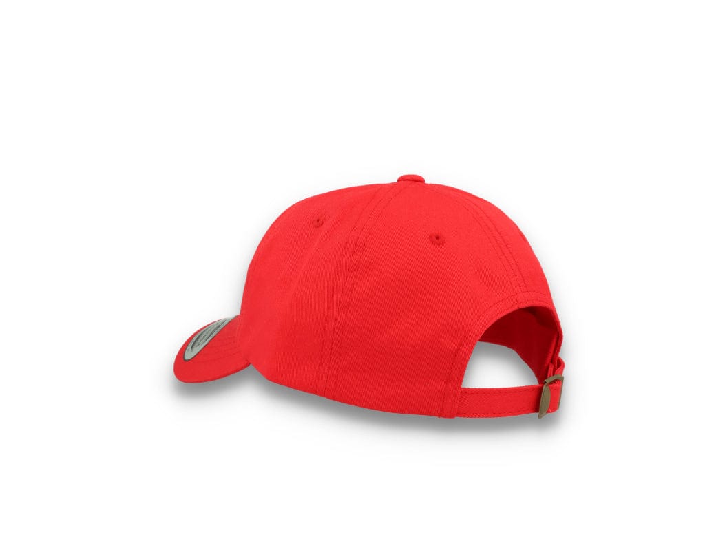 Hawk Tuah 24 - 6245CM Dad Cap Red