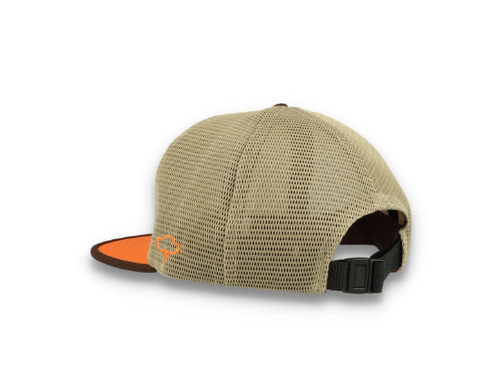 MOAB Tan Strapback - LOKK