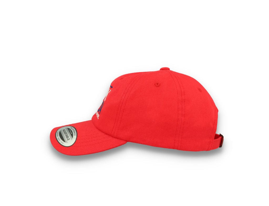 Hawk Tuah 24 - 6245CM Dad Cap Red