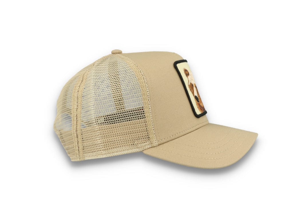Animal Fram Trucker Cap The Bear - LOKK