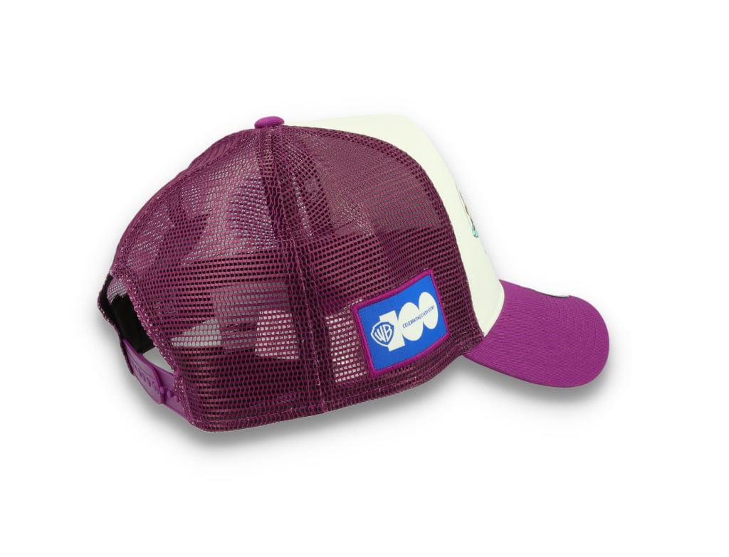 Trucker Cap Jestsons Retro Classic X Looney Tunes Warner Bros 100th Anniversary - LOKK
