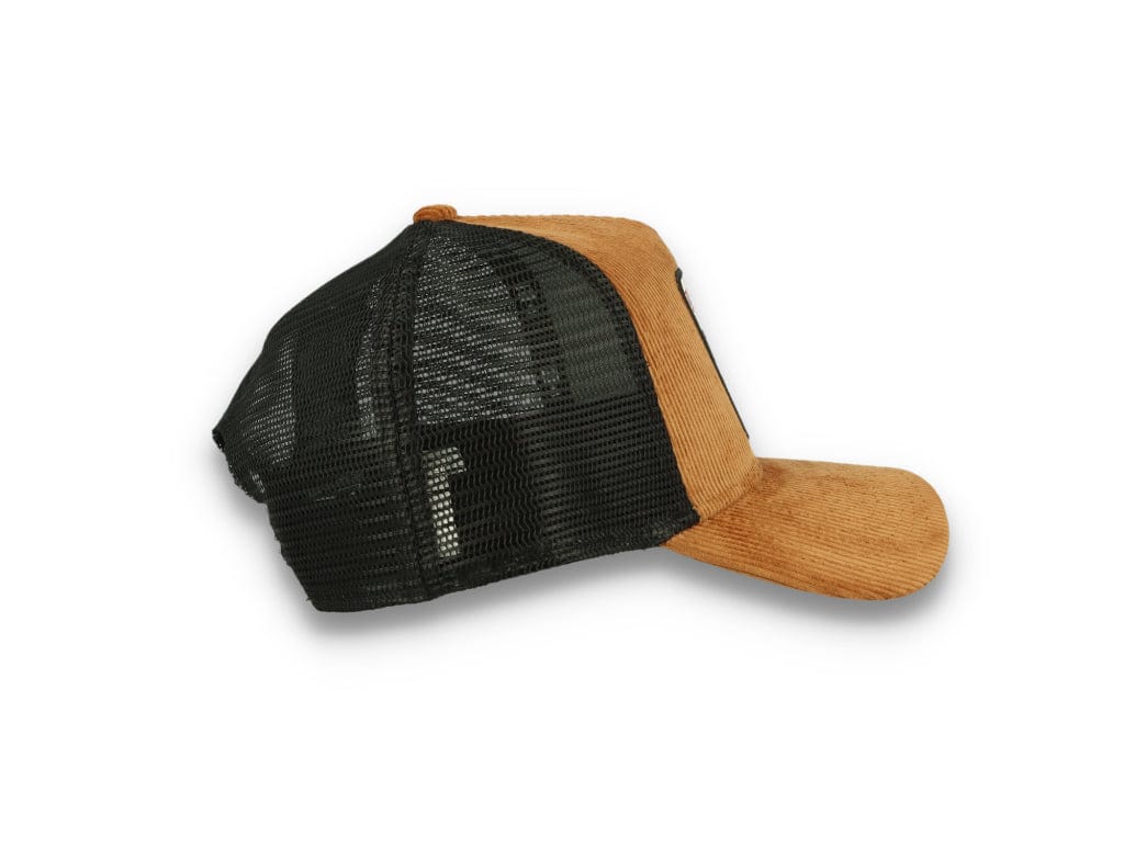 Cord Trucker New Era - LOKK