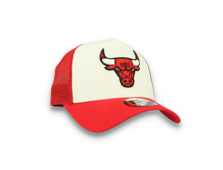 A-Frame Trucker Team Colour Block Chicago Bulls  White/Team - LOKK