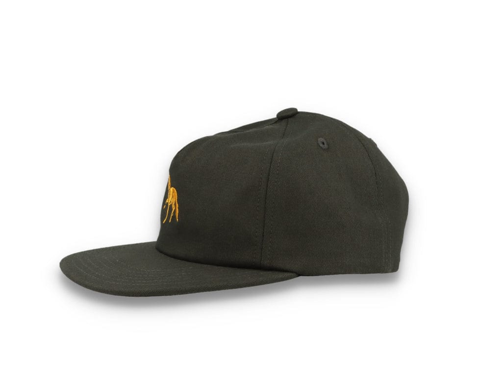 Small Horse Snapback Black - LOKK