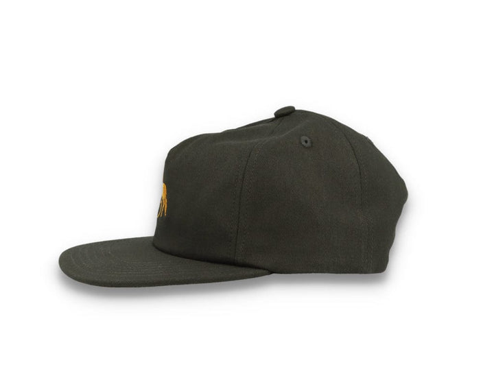 Small Horse Snapback Black - LOKK