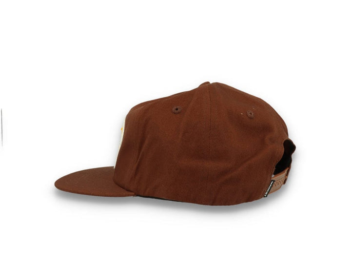 Market Arc 5 Panel Hat Acorn - LOKK