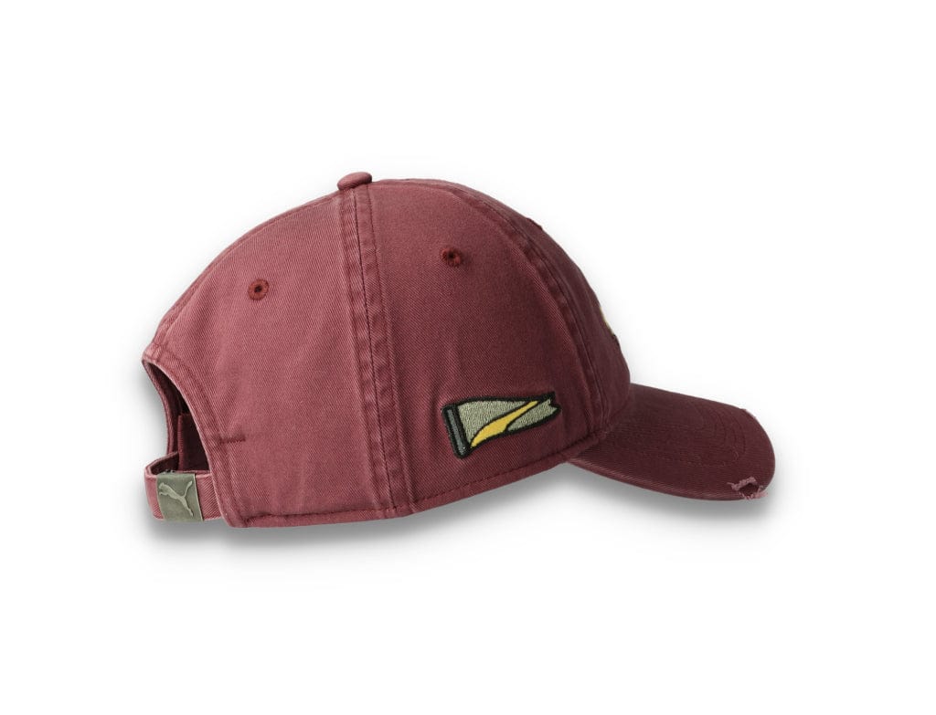 Dad Cap Hometown Heroes Vintage Eggplant - LOKK