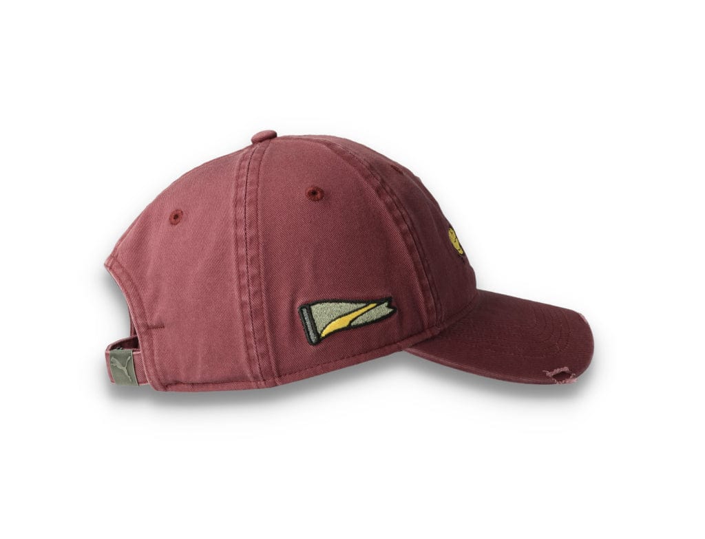 Dad Cap Hometown Heroes Vintage Eggplant - LOKK