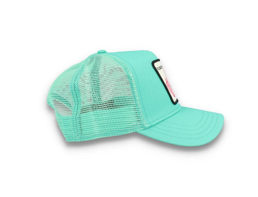 Goorin Trucker Cap Animal Farm Upper Deck Teal