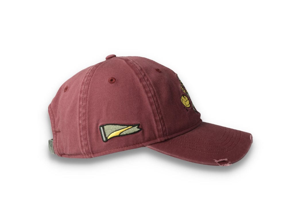 Dad Cap Hometown Heroes Vintage Eggplant - LOKK