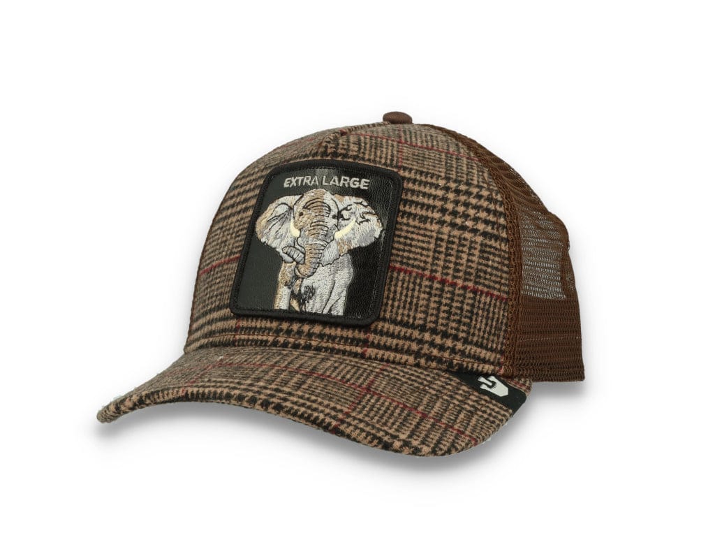 Goorin Animal Farm Trucker Cap In the Room