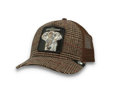 Goorin Animal Farm Trucker Cap In the Room