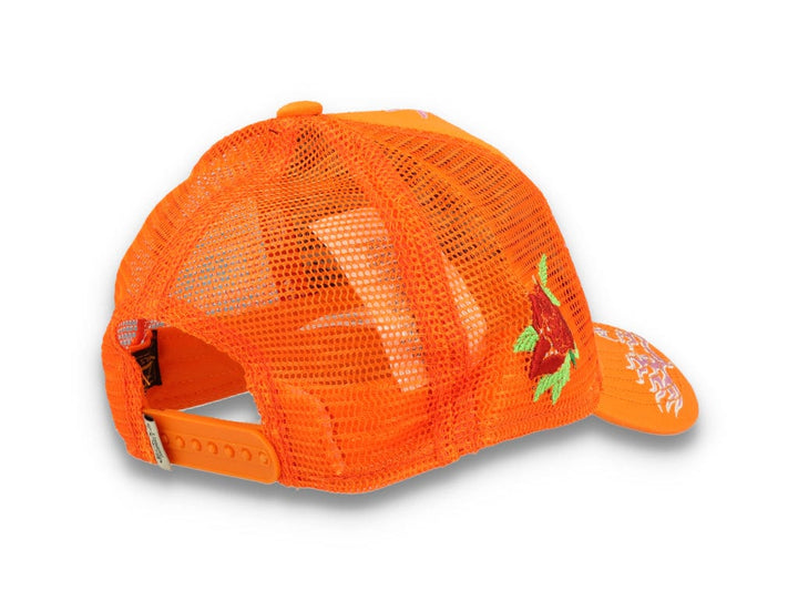 Von Dutch Trucker Alert  Orange/Orange - LOKK