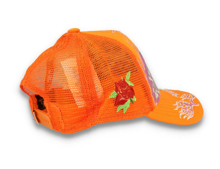 Von Dutch Trucker Alert  Orange/Orange - LOKK