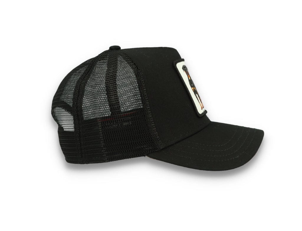 Goorin Trucker Cap The Baddest Boy Black - LOKK