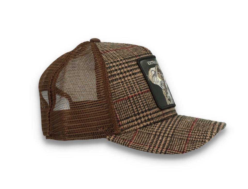 Goorin Animal Farm Trucker Cap In the Room