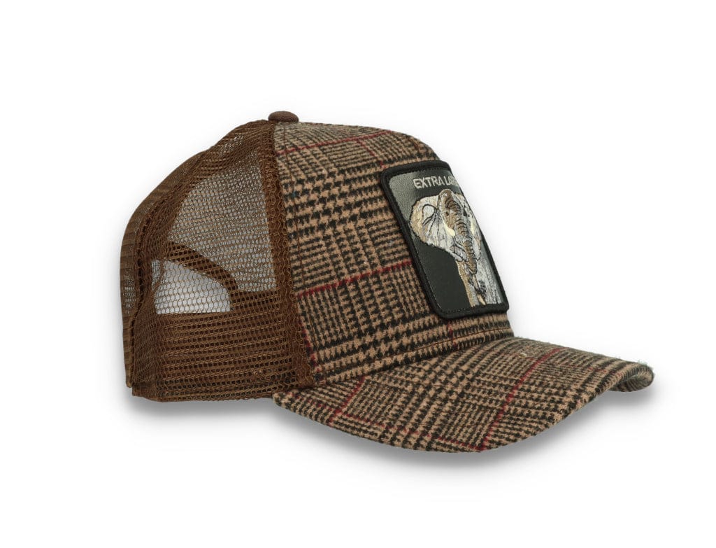 Goorin Animal Farm Trucker Cap In the Room - LOKK