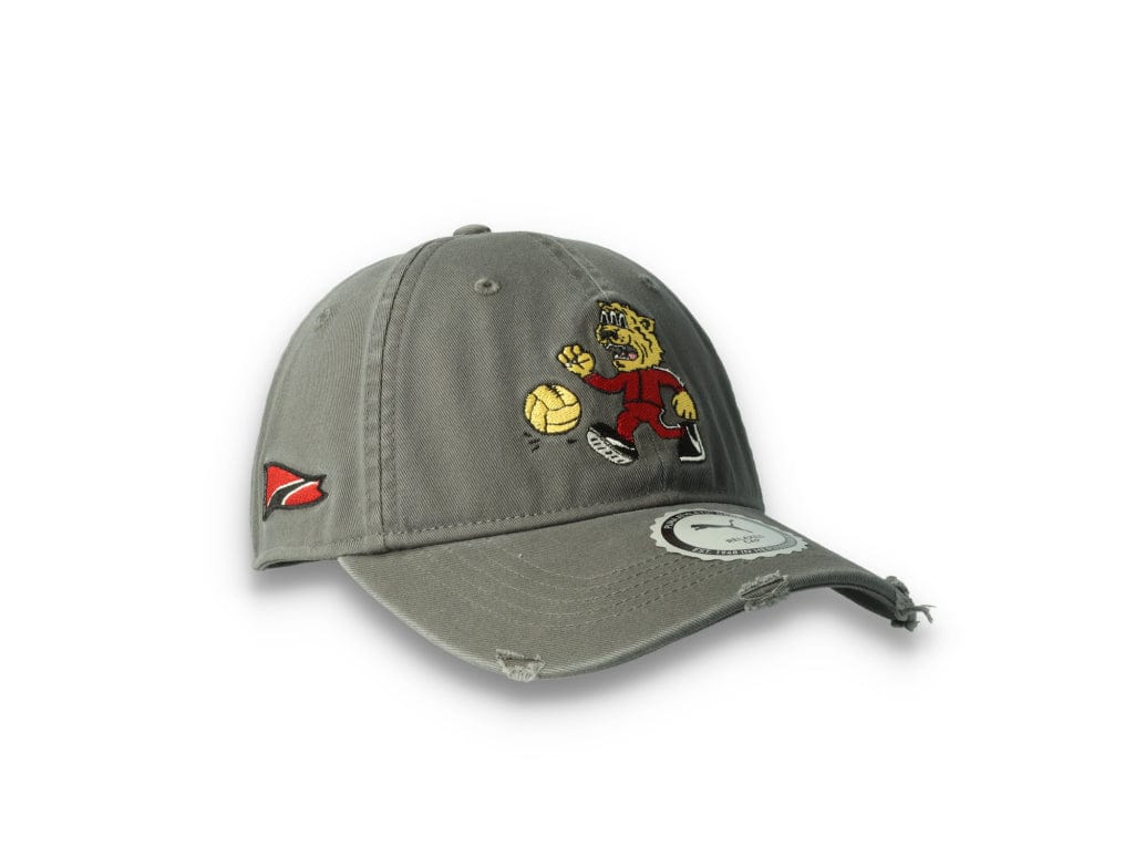 Dad Cap Hometown Heroes Vintage Dark Shadow - LOKK