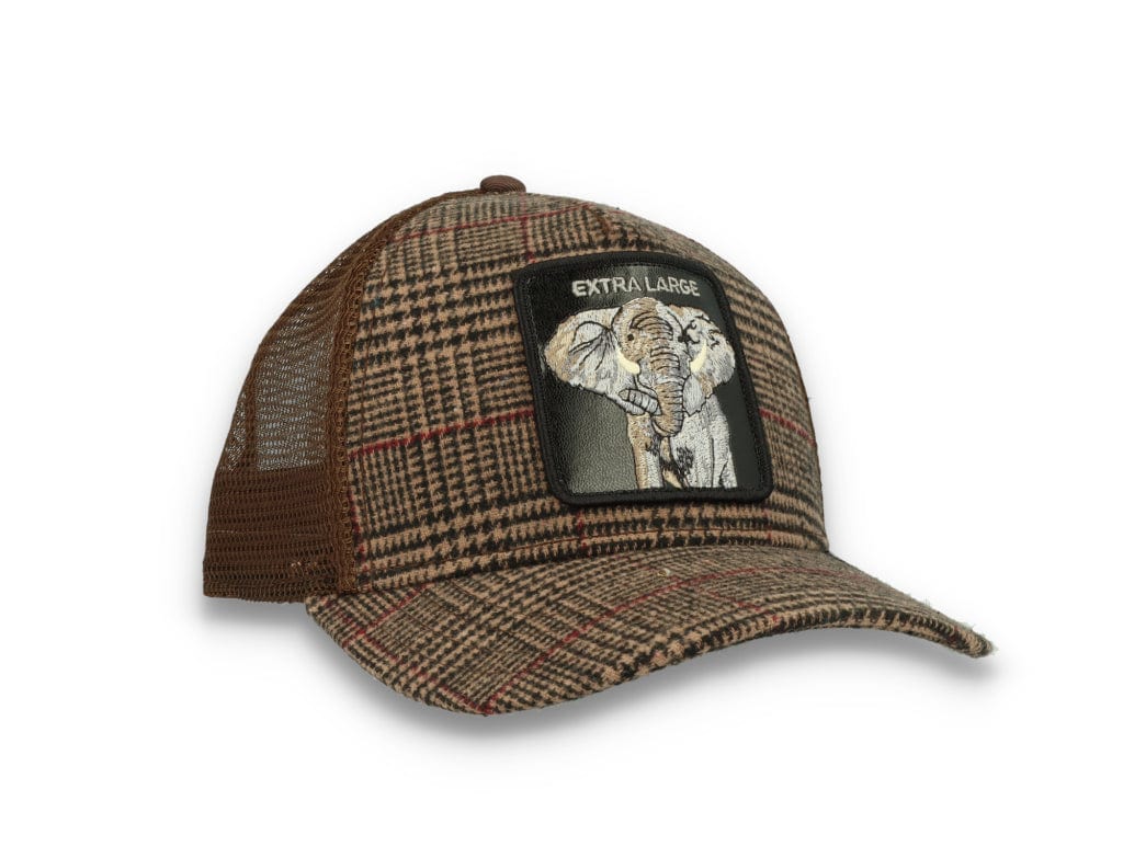 Goorin Animal Farm Trucker Cap In the Room - LOKK