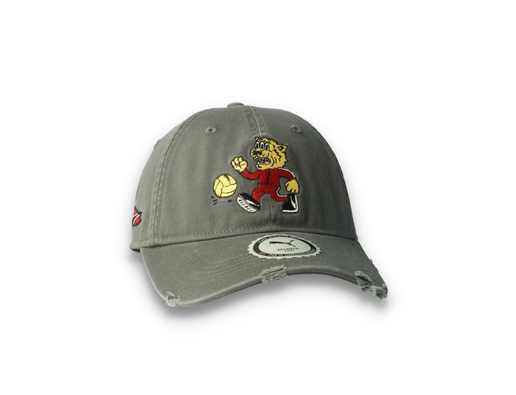 Dad Cap Hometown Heroes Vintage Dark Shadow - LOKK