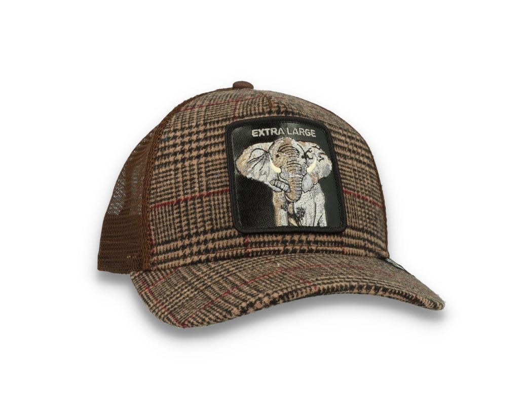 Goorin Animal Farm Trucker Cap In the Room - LOKK