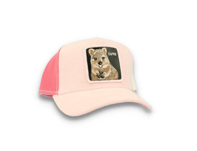 Goorin Trucker Cap  Smile More Pink