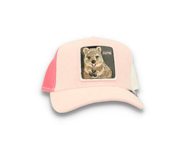 Goorin Trucker Cap  Smile More Pink