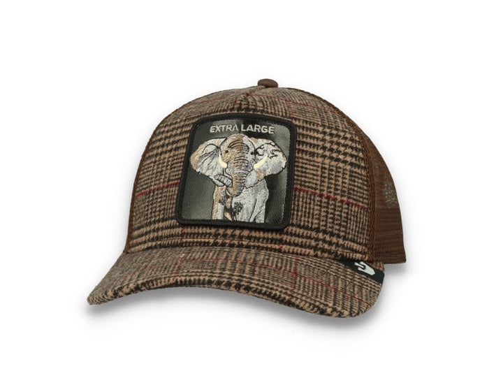 Goorin Animal Farm Trucker Cap In the Room - LOKK