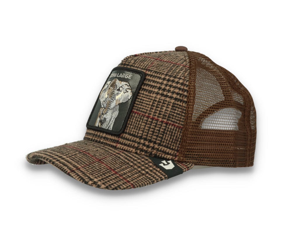Goorin Animal Farm Trucker Cap In the Room
