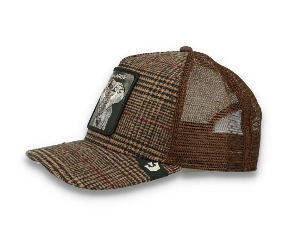Goorin Animal Farm Trucker Cap In the Room