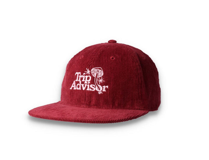 Playdude Trip Advisor Cord Cap Burgundy - LOKK