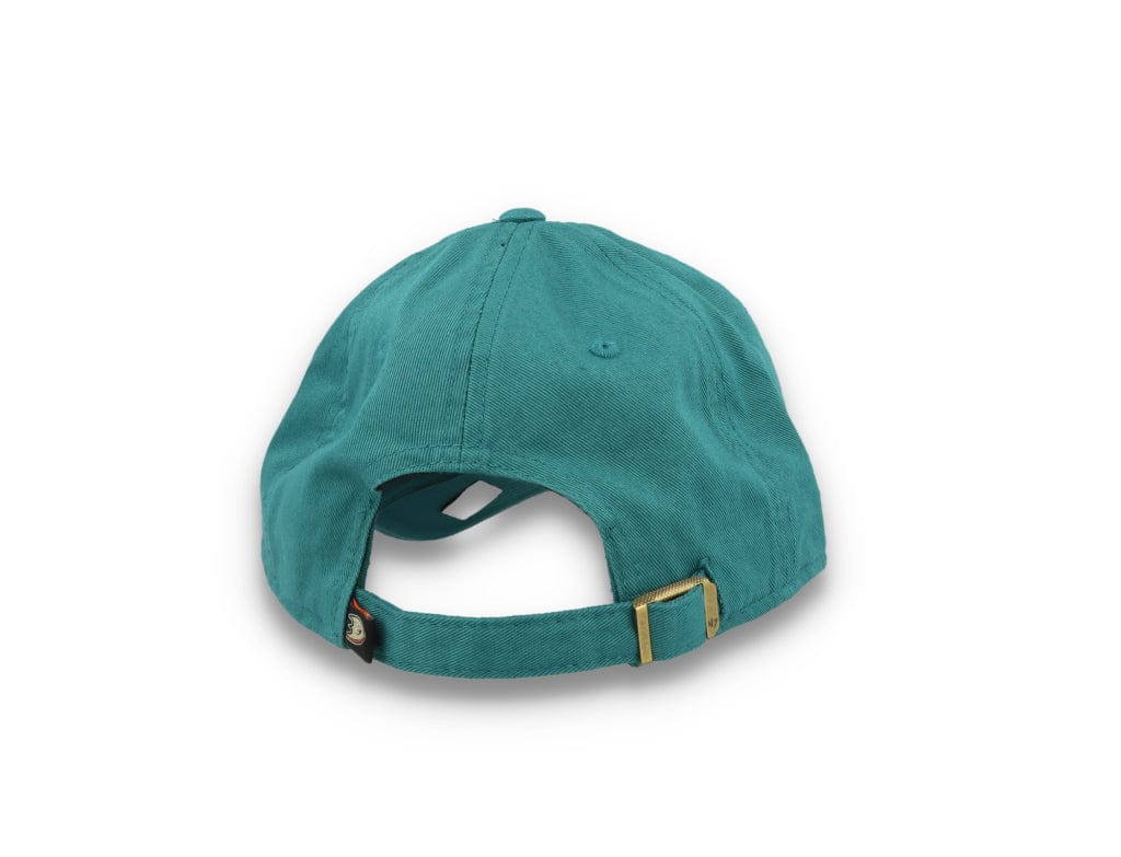 Anaheim Ducks NHL 47 Clean Up- Dark Teal - LOKK