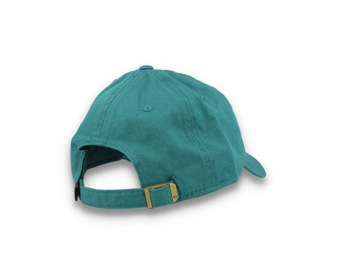 Anaheim Ducks NHL 47 Clean Up- Dark Teal - LOKK