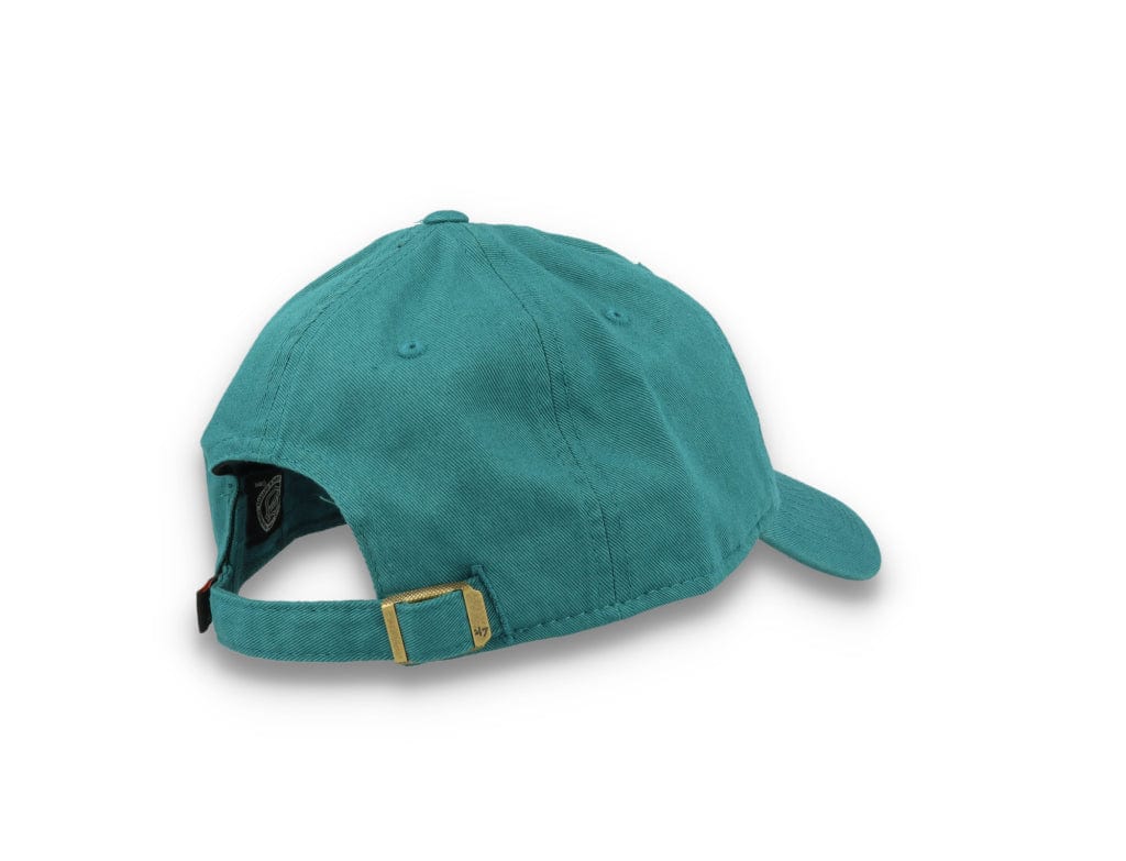 Anaheim Ducks NHL 47 Clean Up- Dark Teal - LOKK