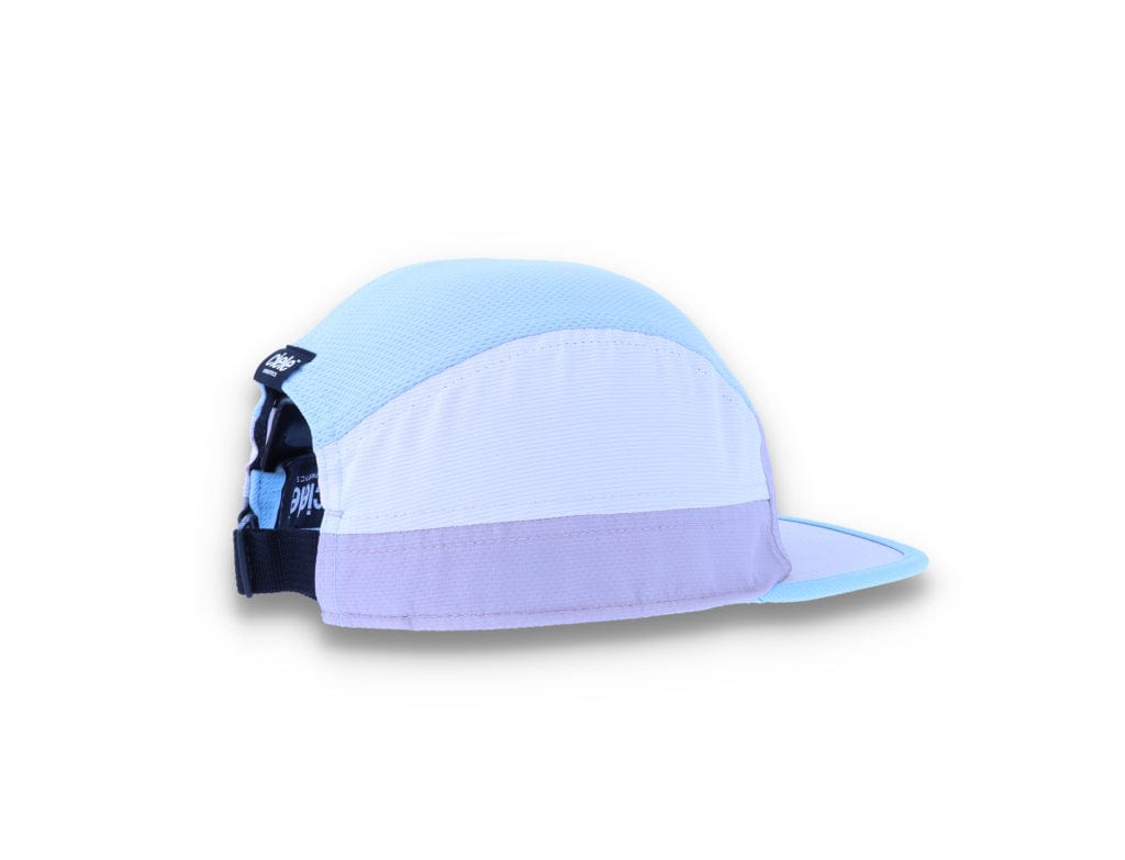 5-Panel Cap ALZCap SC Century Small Current - LOKK