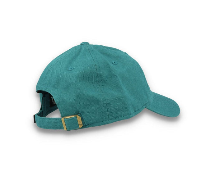 Anaheim Ducks NHL 47 Clean Up- Dark Teal - LOKK