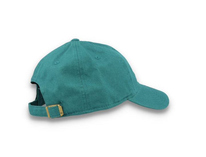 Anaheim Ducks NHL 47 Clean Up- Dark Teal - LOKK