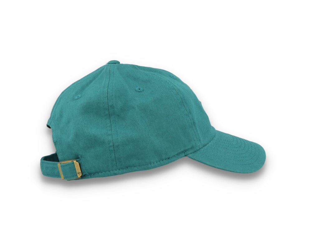 Anaheim Ducks NHL 47 Clean Up- Dark Teal - LOKK