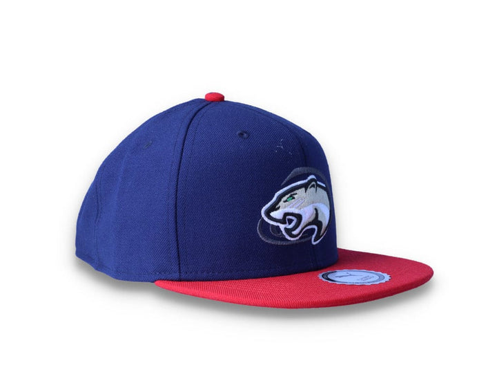 Snapback Cap Hometown Heroes Basketball Peacoat/Puma Red - LOKK