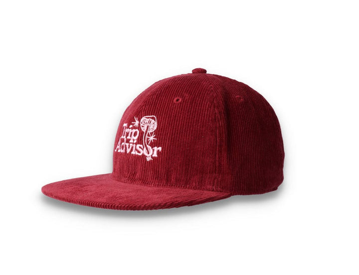 Playdude Trip Advisor Cord Cap Burgundy - LOKK