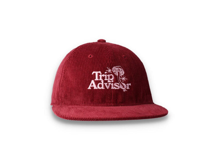Playdude Trip Advisor Cord Cap Burgundy - LOKK