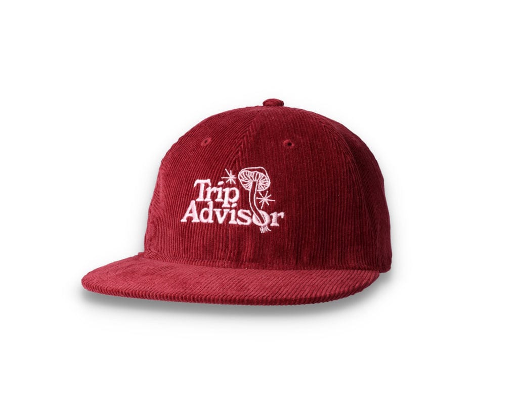 Playdude Trip Advisor Cord Cap Burgundy - LOKK