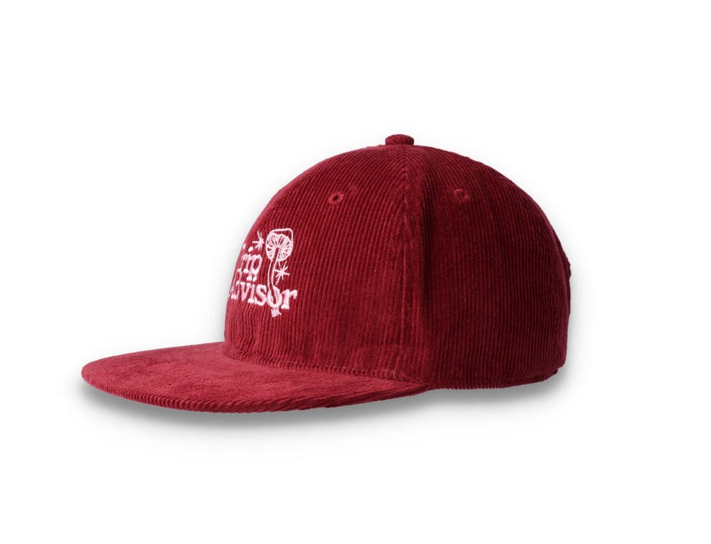 Playdude Trip Advisor Cord Cap Burgundy - LOKK