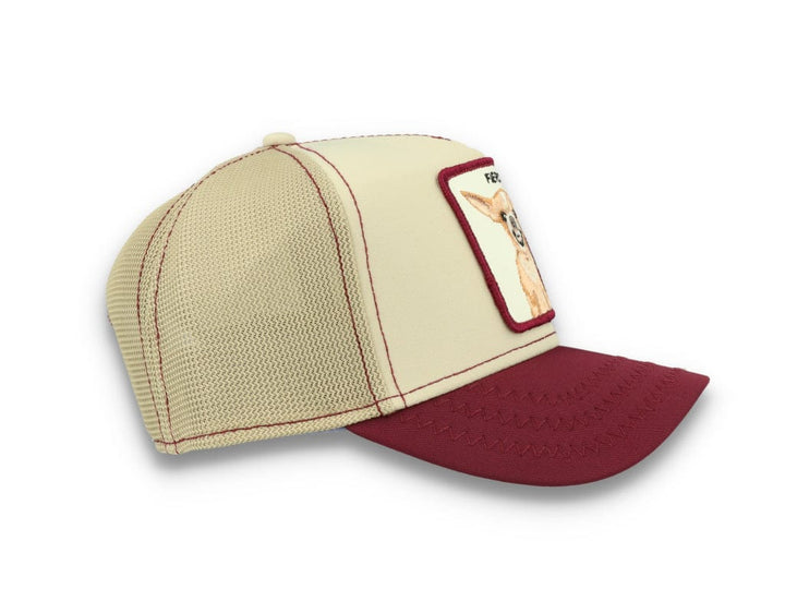 Goorin Animal Farm Trucker Cap Yo Quiero - LOKK