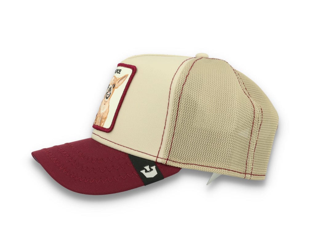 Goorin Animal Farm Trucker Cap Yo Quiero - LOKK